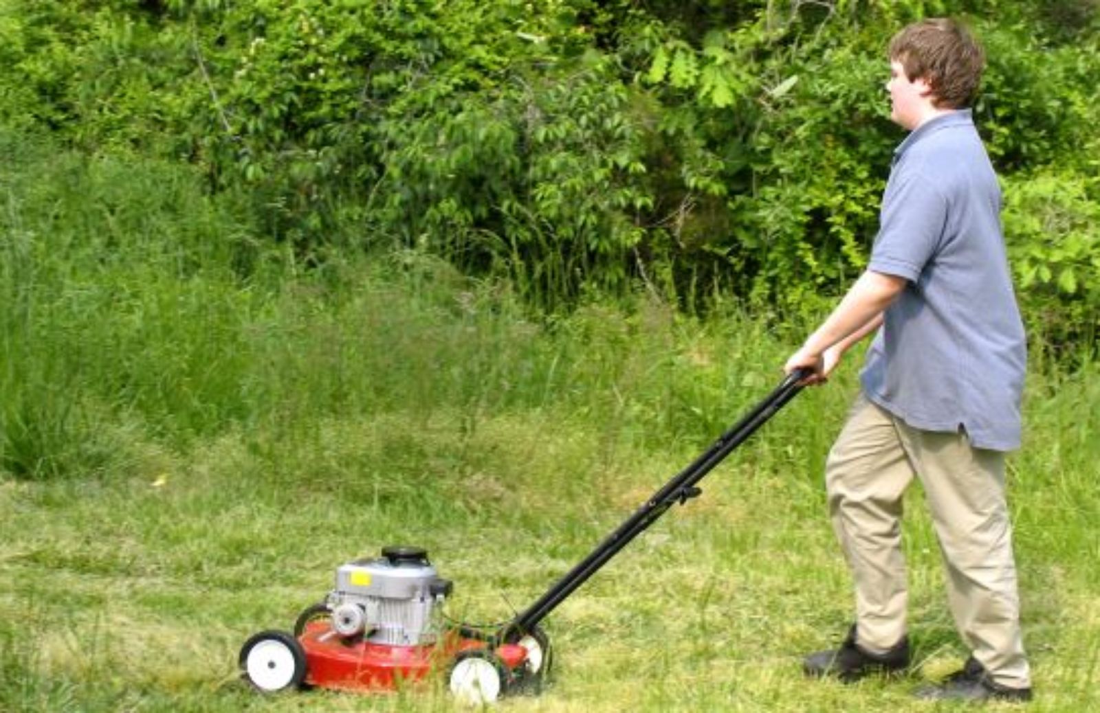 Come gestire l'orto in maggio