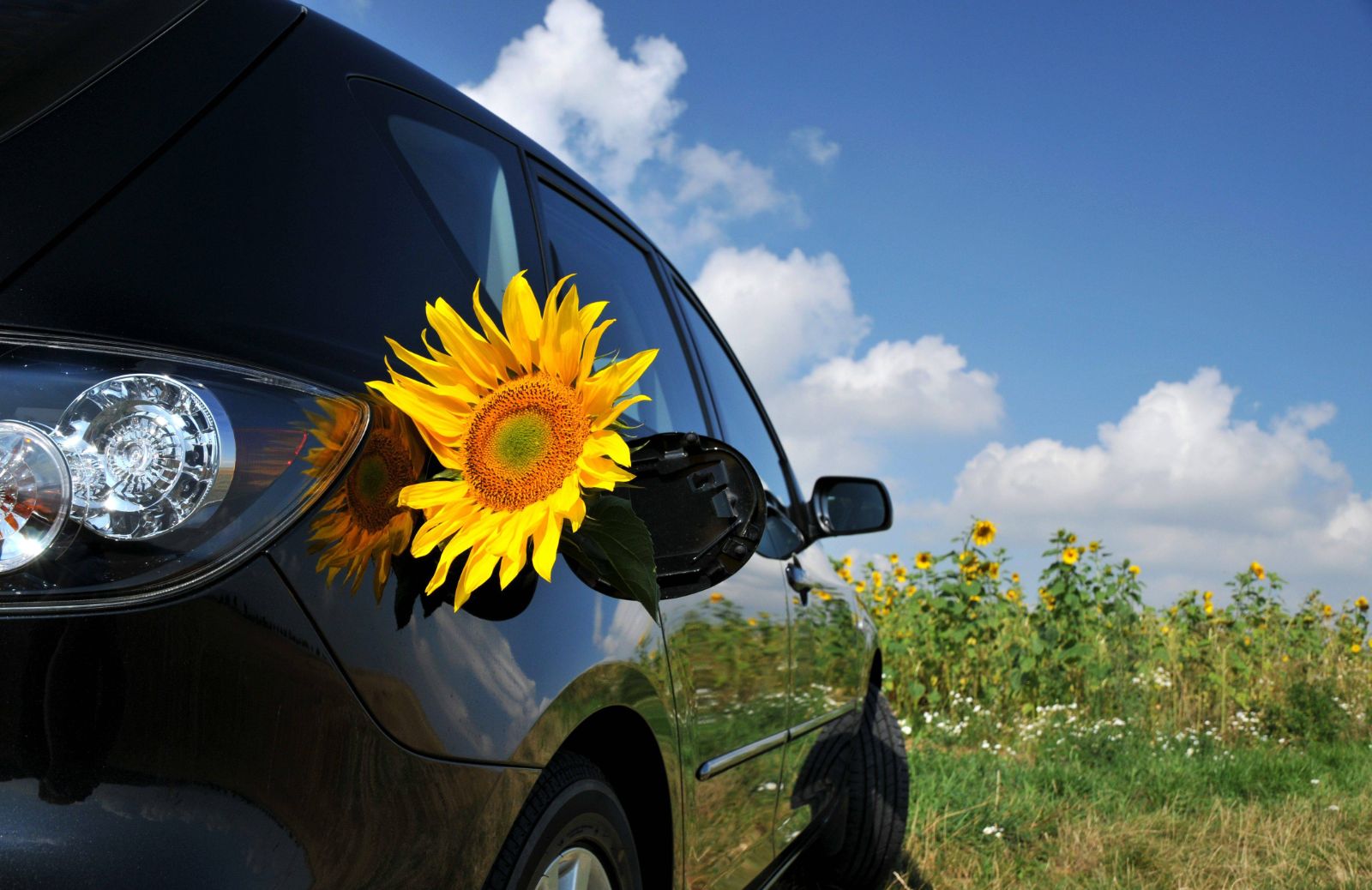 Uso del Gpl per l'auto: caratteristiche e vantaggi