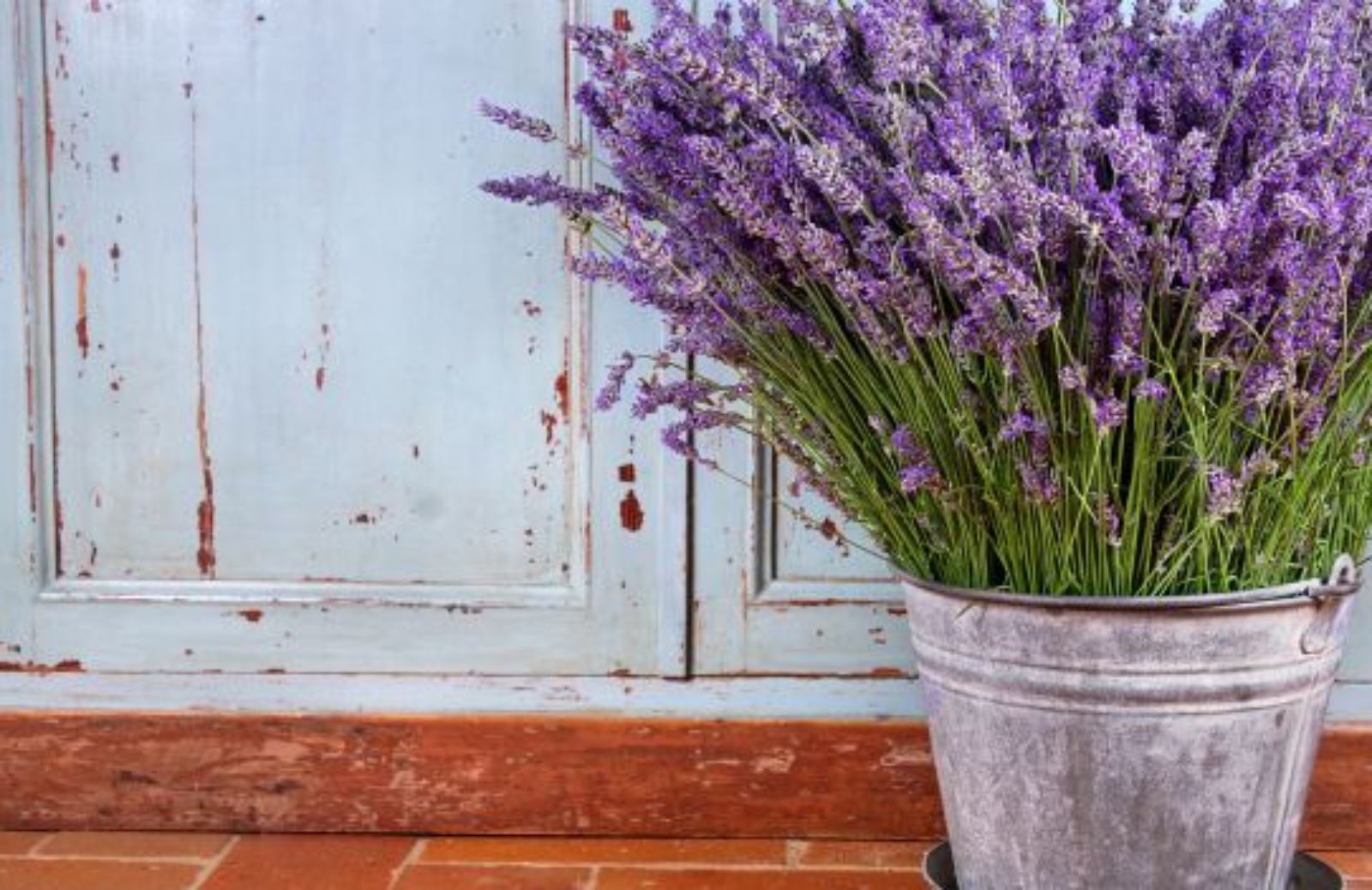 Come pulire casa con i rimedi della nonna