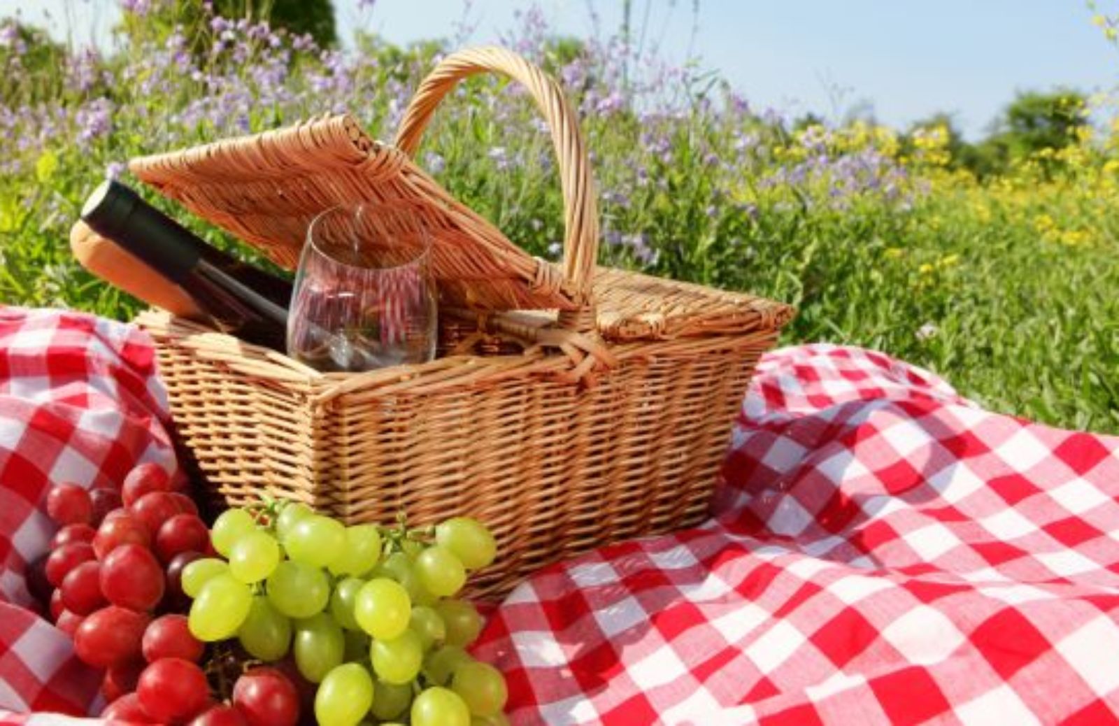 Come fare un pic nic ecosostenibile