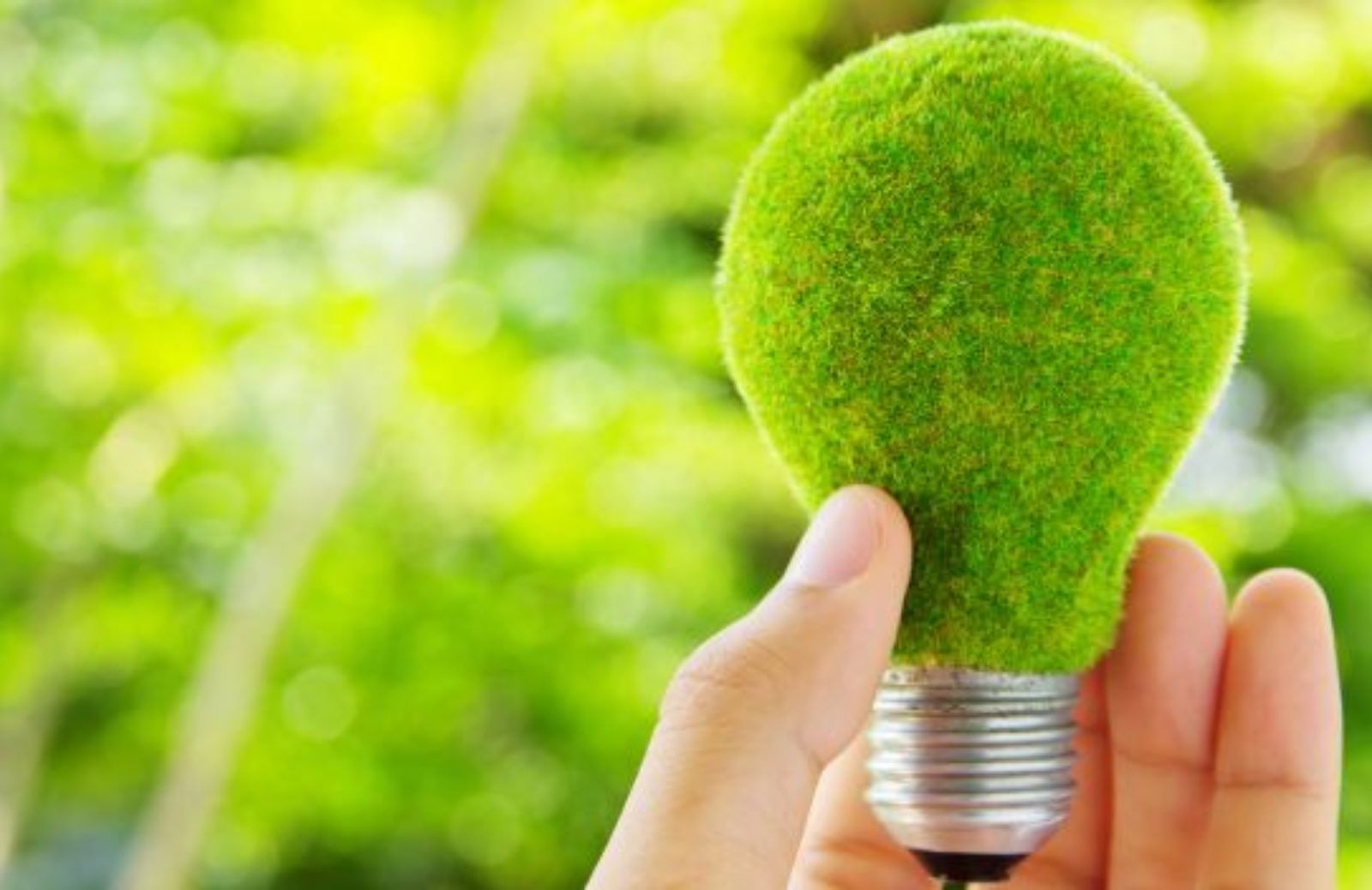 Come funziona il marchio “100% energia verde”