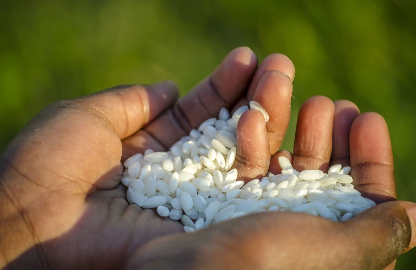 Nutrire il pianeta, energia per la vita: come mettere in pratica gli insegnamenti di Expo Milano 2015