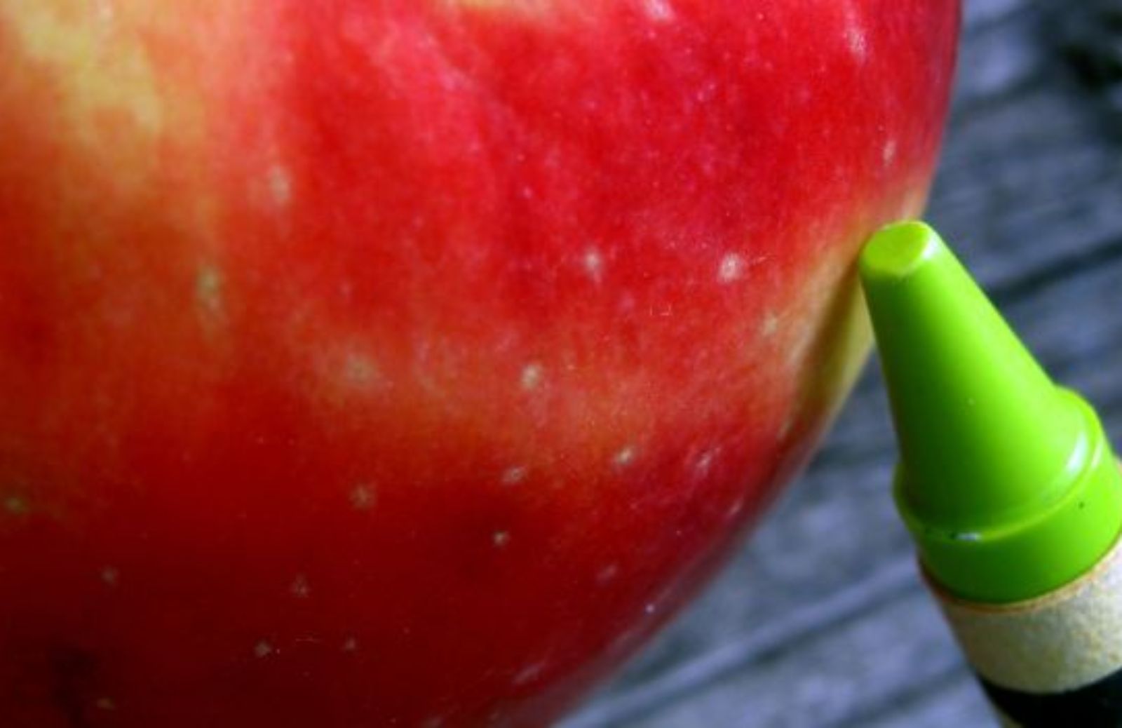 Come organizzare il rientro a scuola green: la merenda