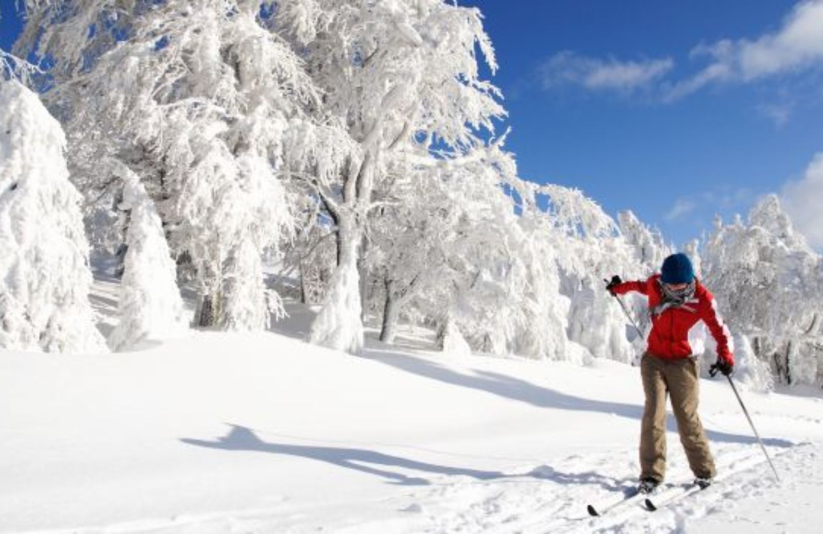 Come organizzare un weekend green per San Valentino