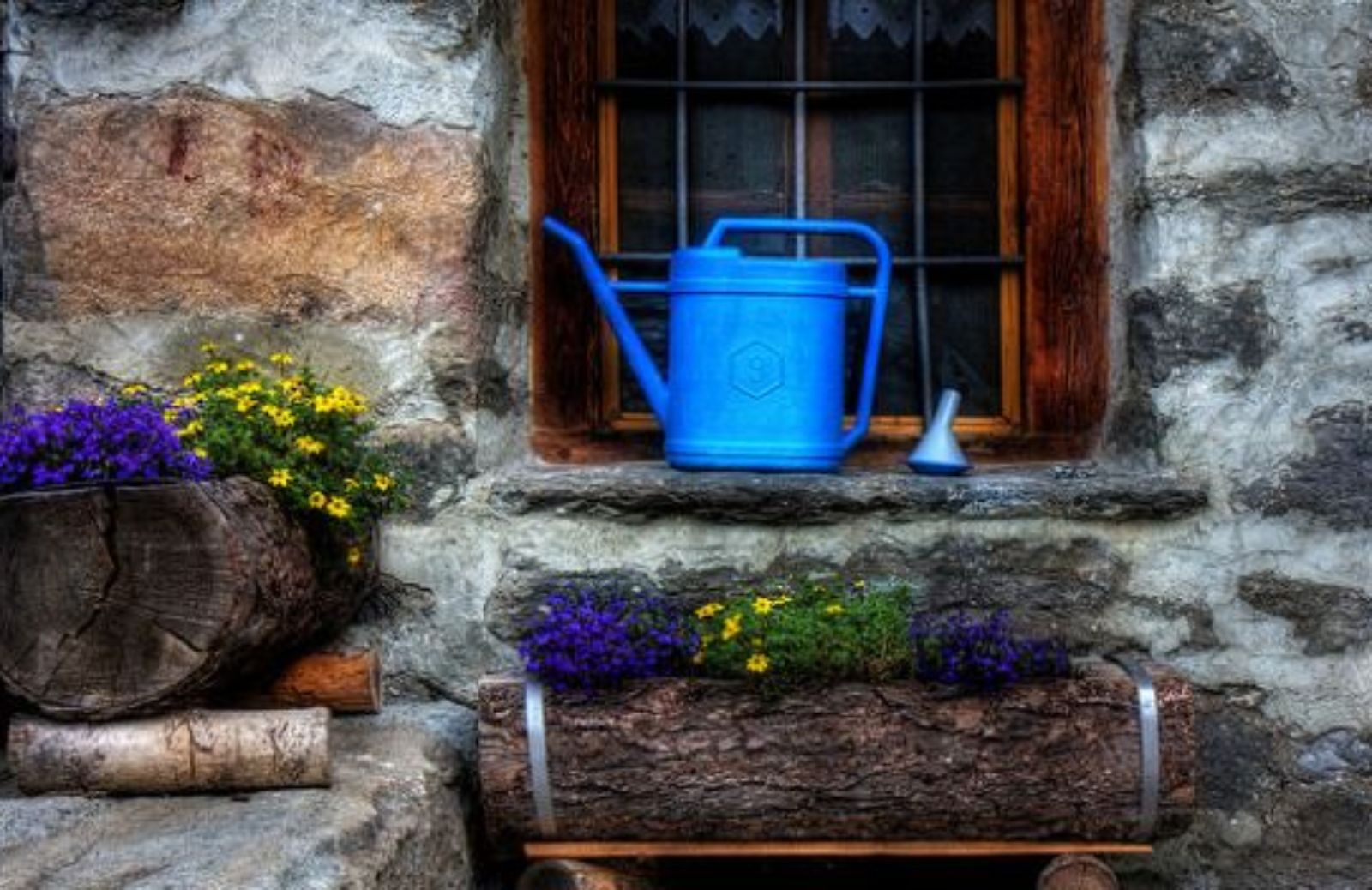 Come risparmiare acqua annaffiando le piante del giardino