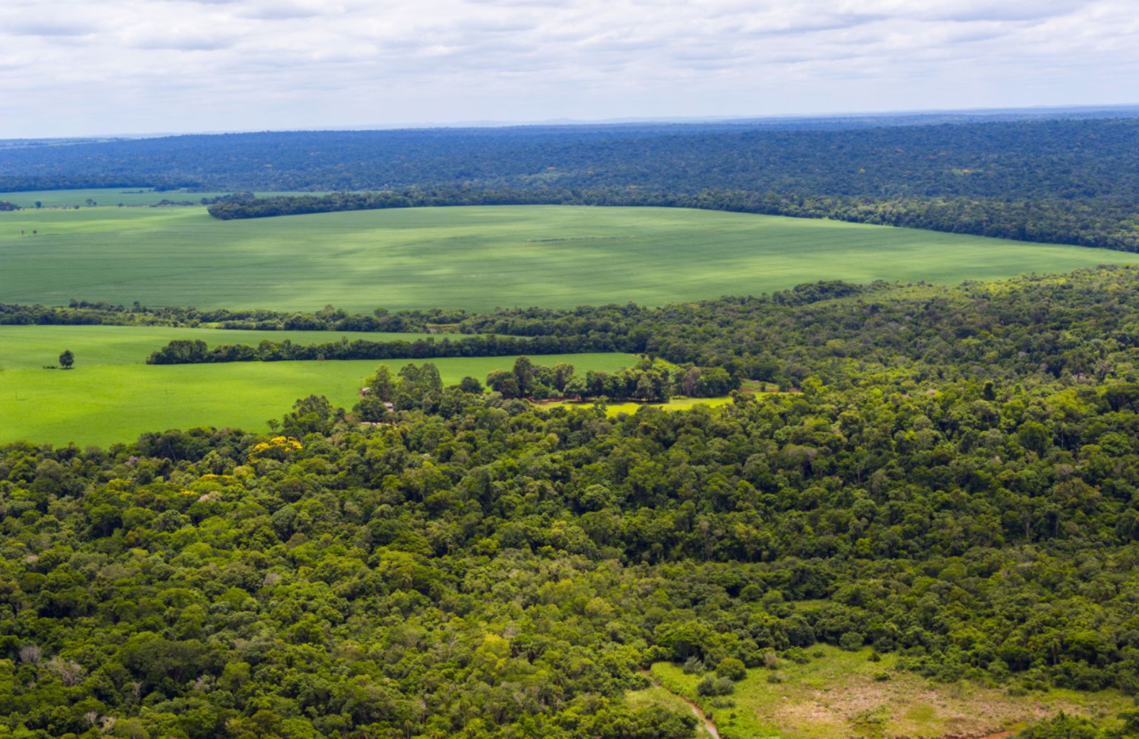 Il genocidio dei Guaraní privati della terra ancestrale 