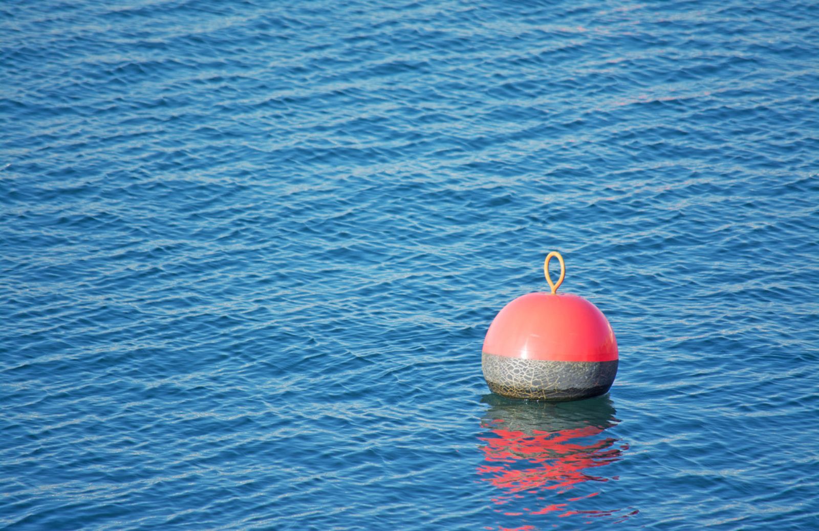 In che mare mi tuffo? Se è inquinato lo rivela la boa-spia