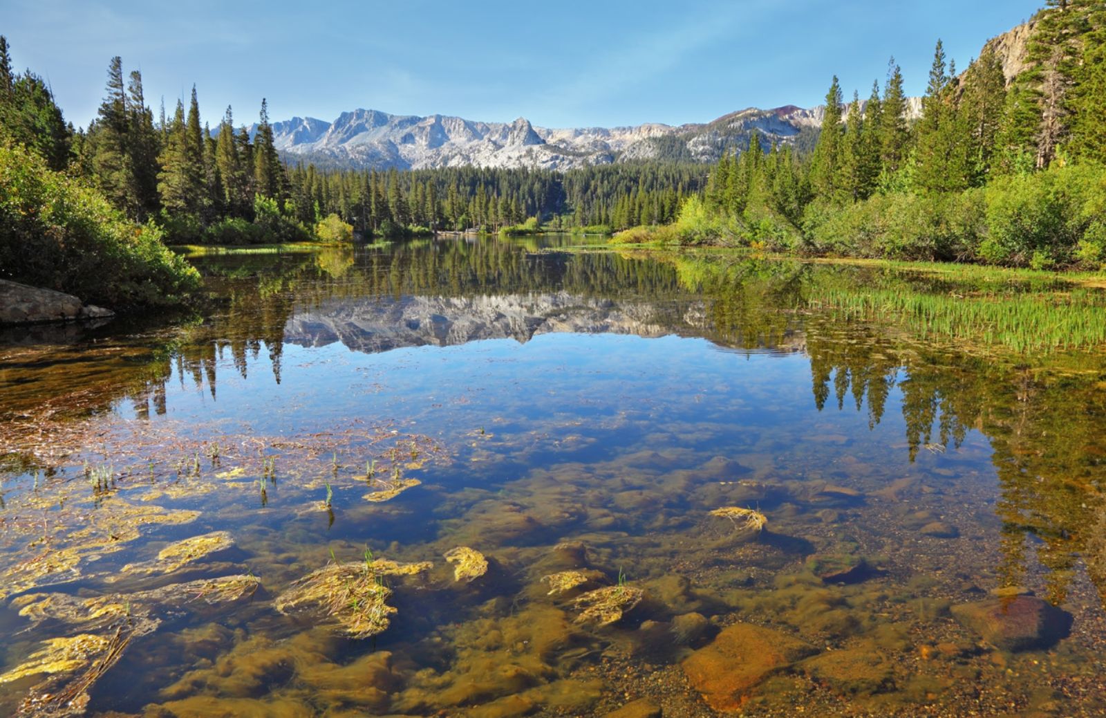 Laghi e fiumi europei inquinati dai pesticidi 