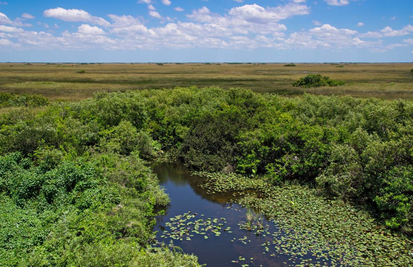 Più di un terzo dei Patrimoni naturali Unesco in pericolo 