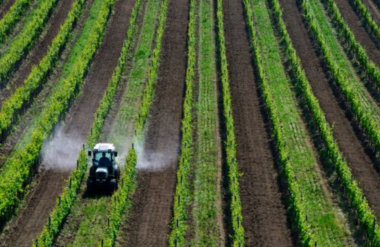 Ritorno alla concimazione naturale per l’agricoltura del futuro