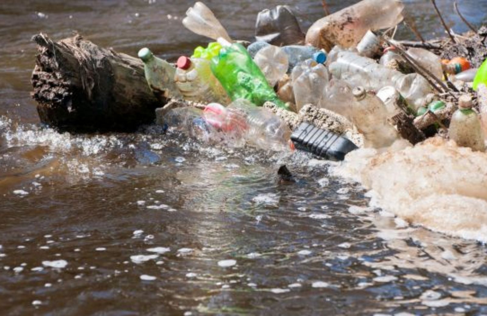 The Plastic Bank: il progetto per liberarsi dai rifiuti plastici