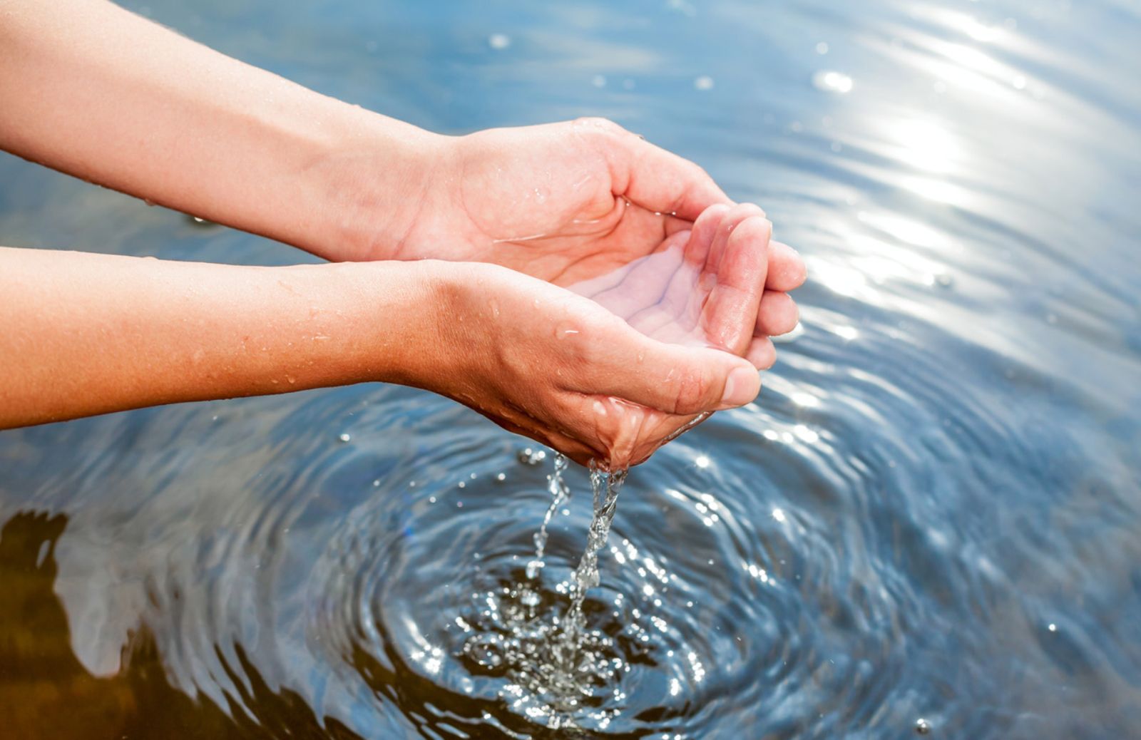 The Water Rooms: il tema dell'emergenza acqua a Expo 2015