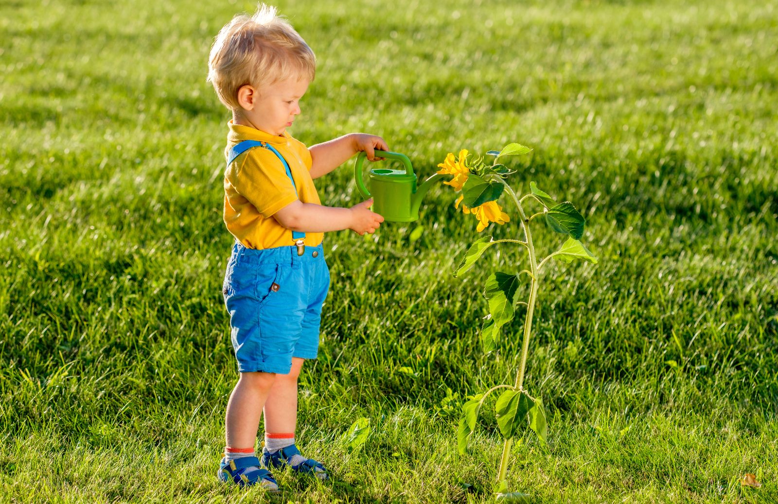 Bambini indaco: leggenda o verità?