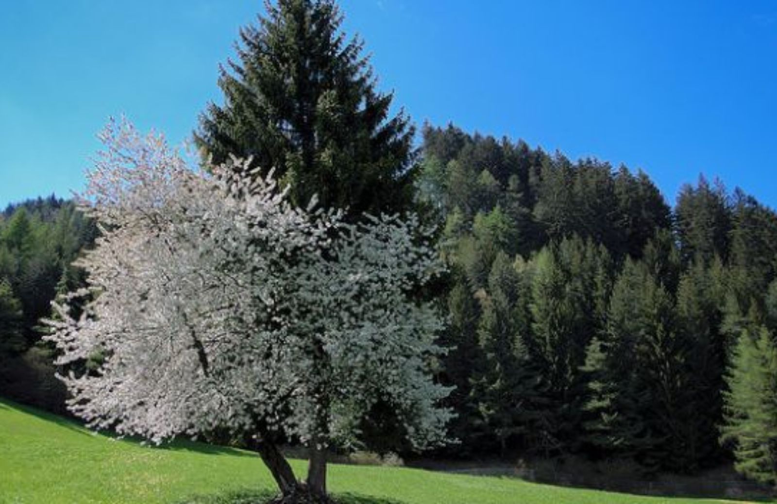 Come passare la domenica in mezzo alla natura con i bambini