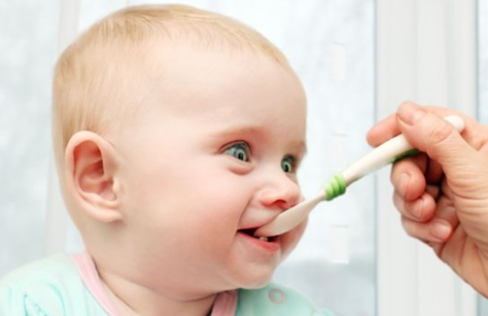 Pappa di primavera per lo svezzamento