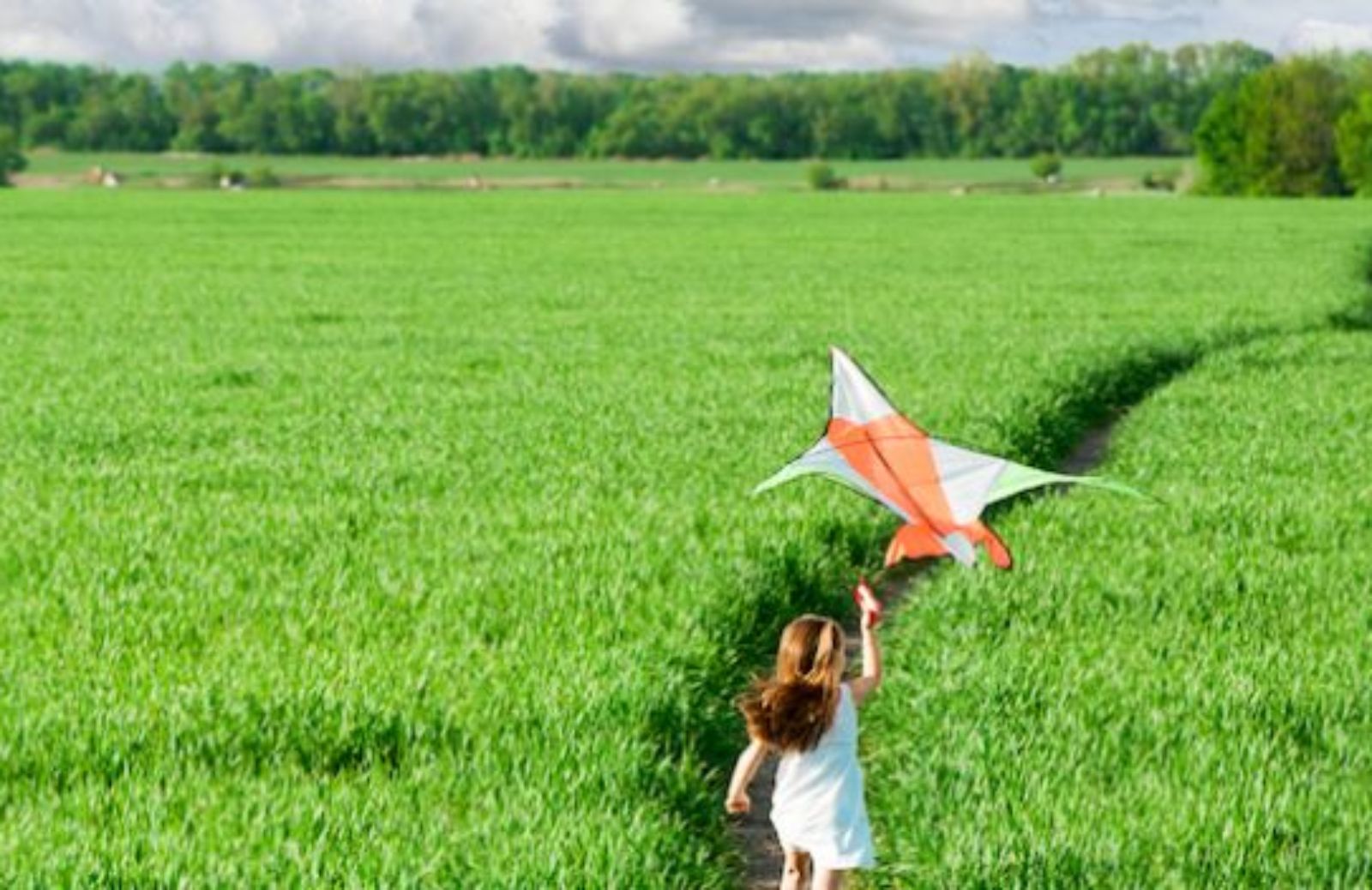 Campus pasquali nel verde: torna l'appuntamento con i campus della cooperativa Koinè