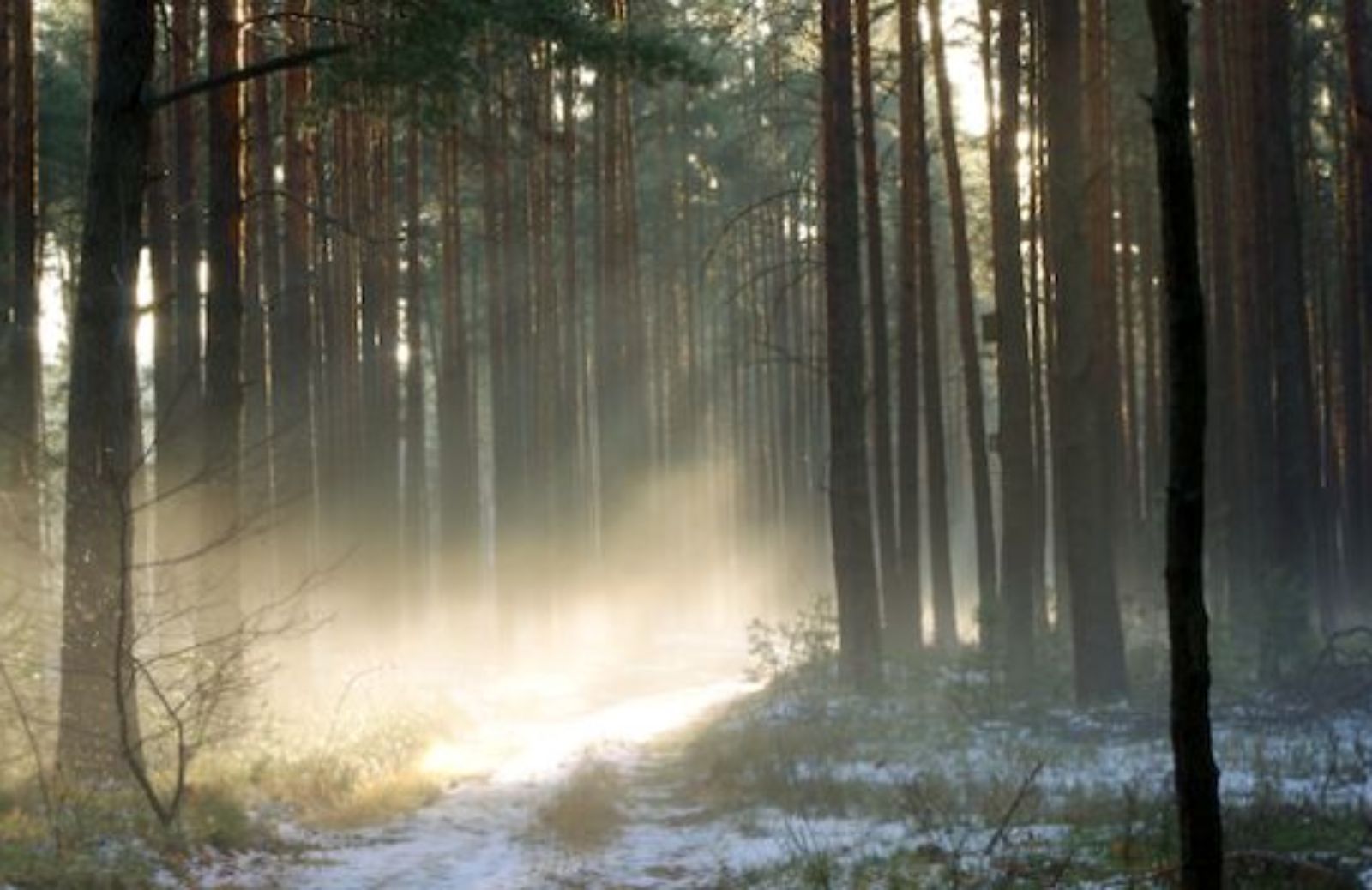 Febbraio nella natura all'Oasi Lipu