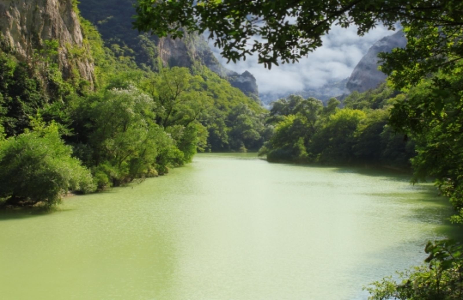 Viaggio in Brasile: la Foresta Amazzonica