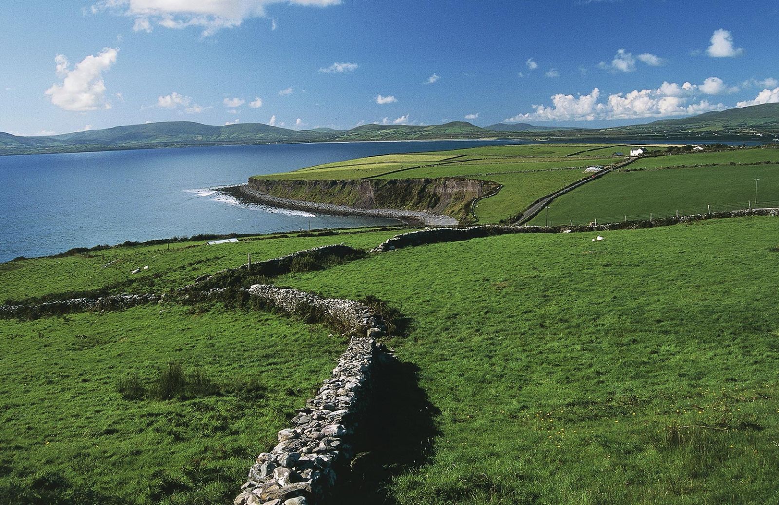 A settembre c'è il festival delle ostriche a Galway, nel cuore dell’Irlanda!