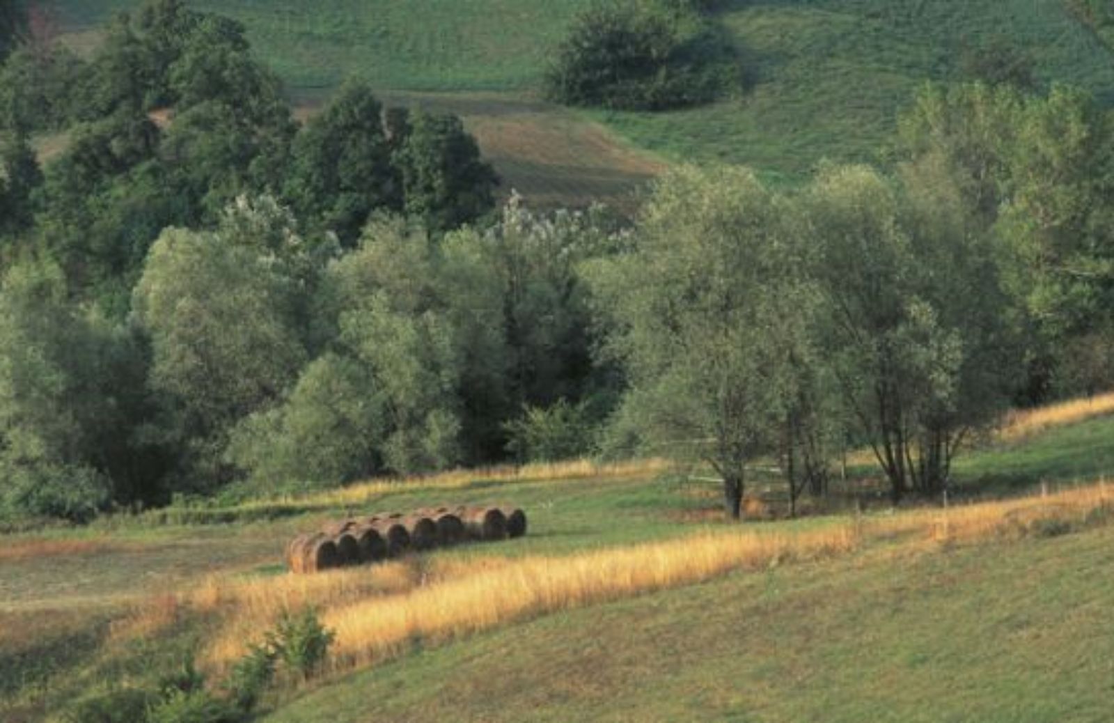 Andar per castelli e salumi in Emilia