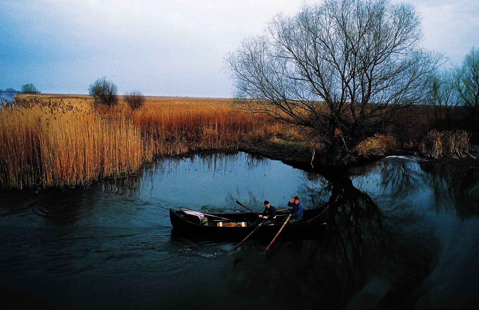 Birdwatching in Romania sul delta del Danubio