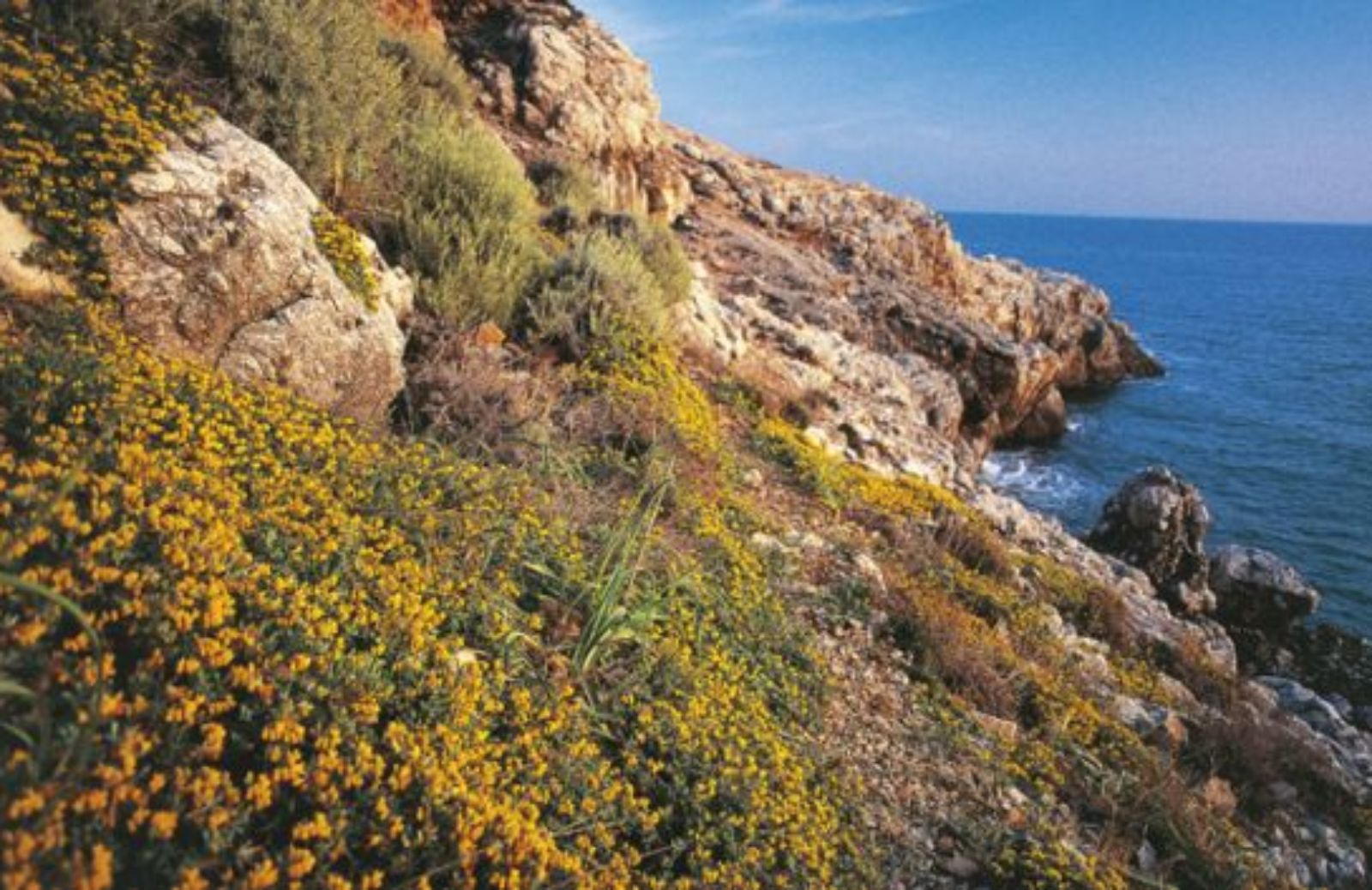 Circeo, un parco nazionale da vivere a 360°