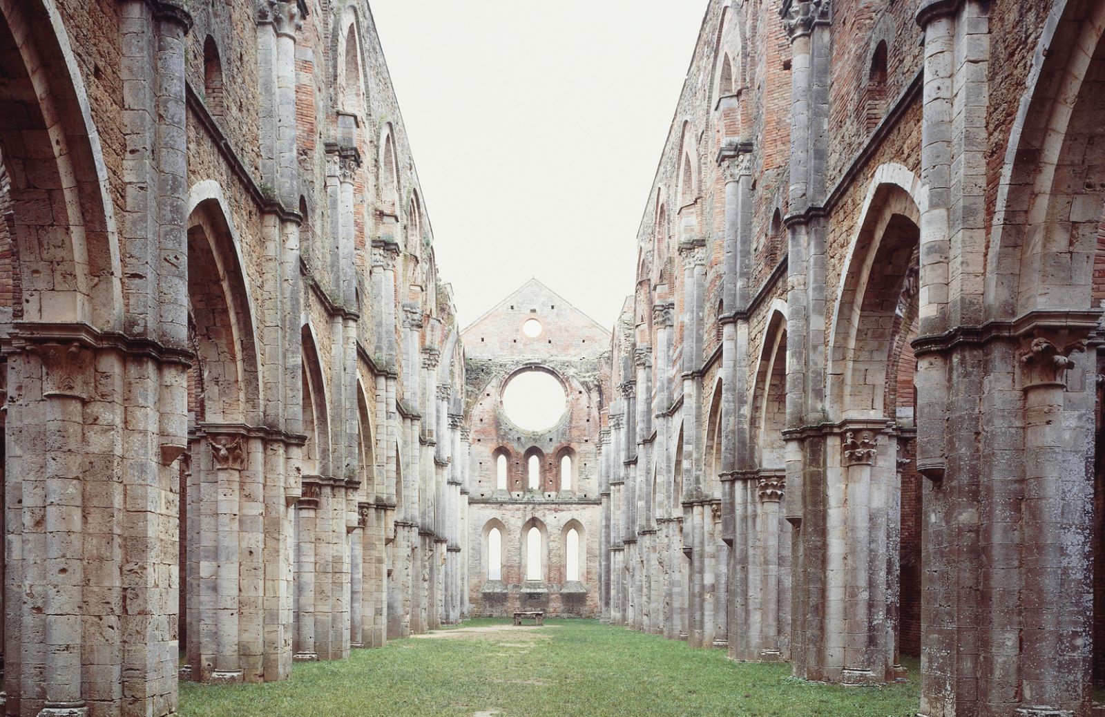 Fiori d’arancio all’abbazia di San Galgano