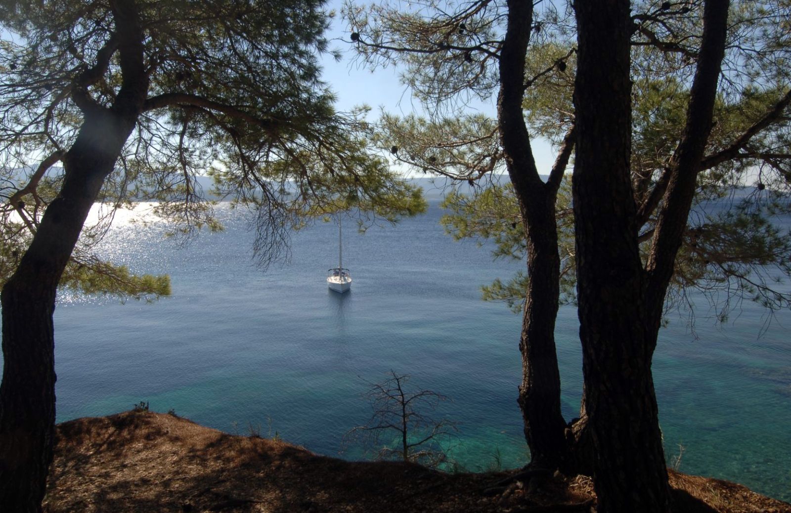 Il mare più blu è fra le isole della Dalmazia 