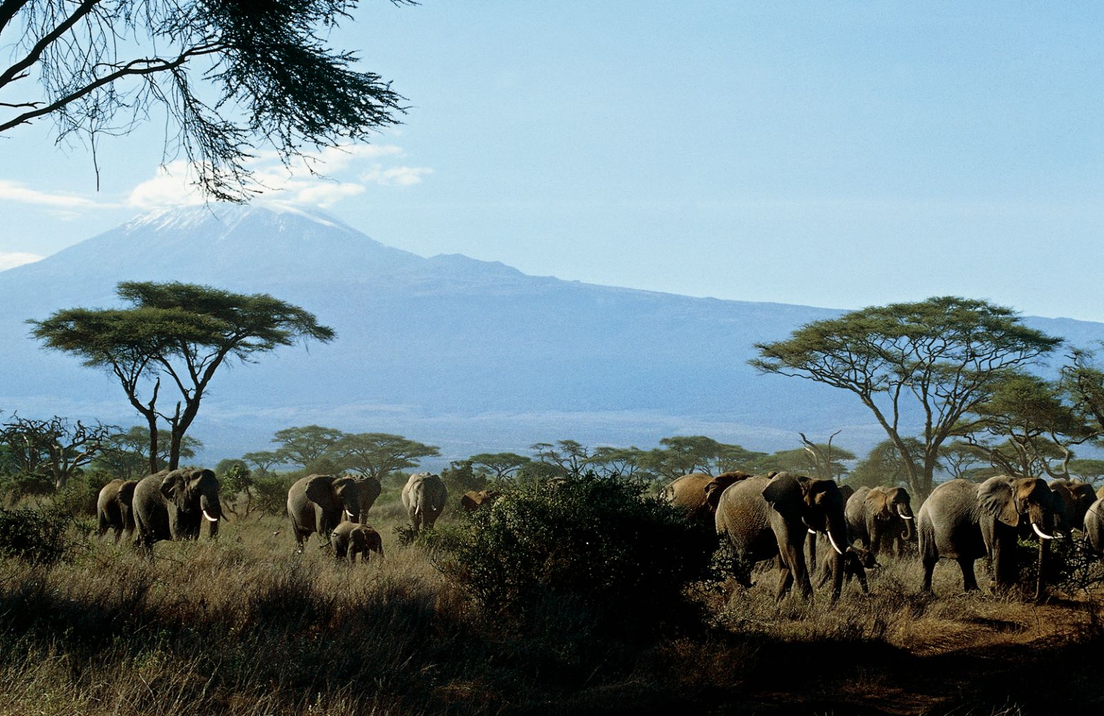 In Kenya, sulle tracce di Karen Blixen