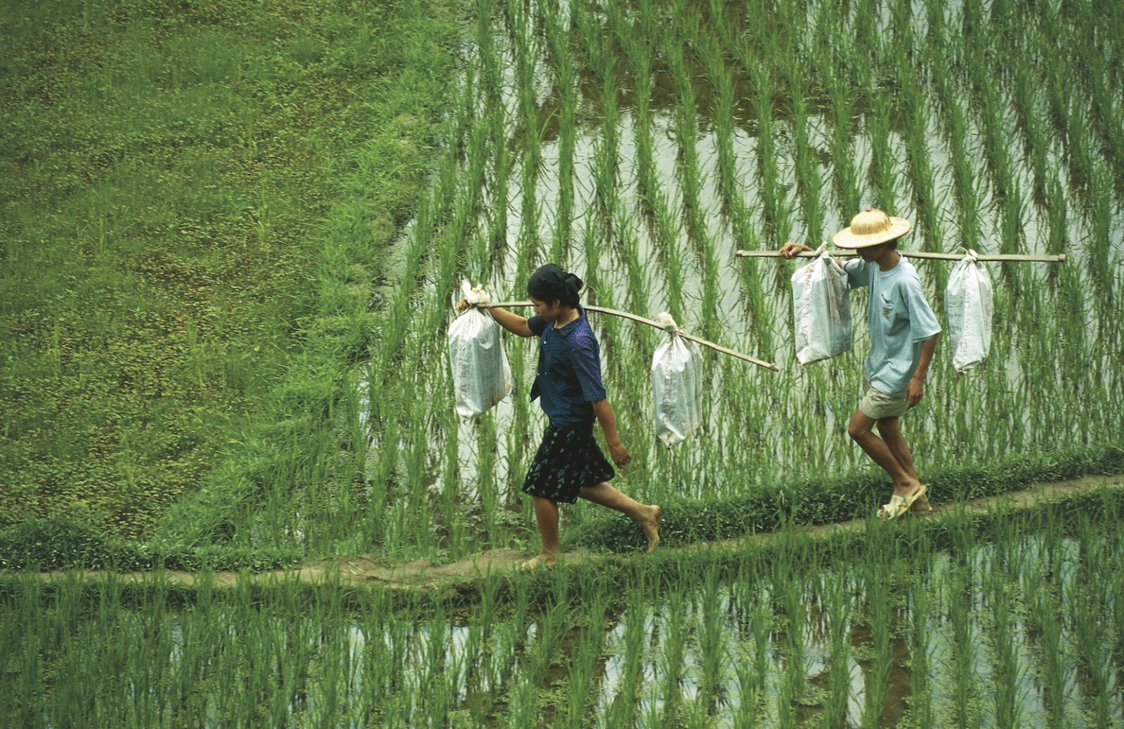 In Viet Nam lungo il sentiero di Ho Chi Minh 