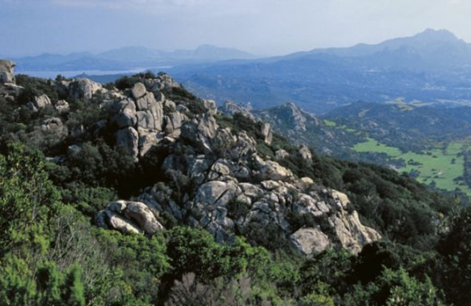 Alla ricerca del Vermentino di Gallura