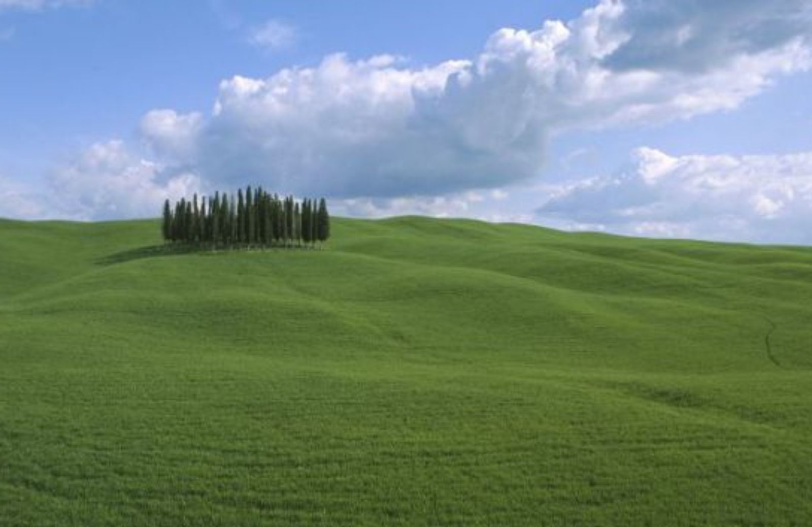 In bici lungo la Val d'Orcia