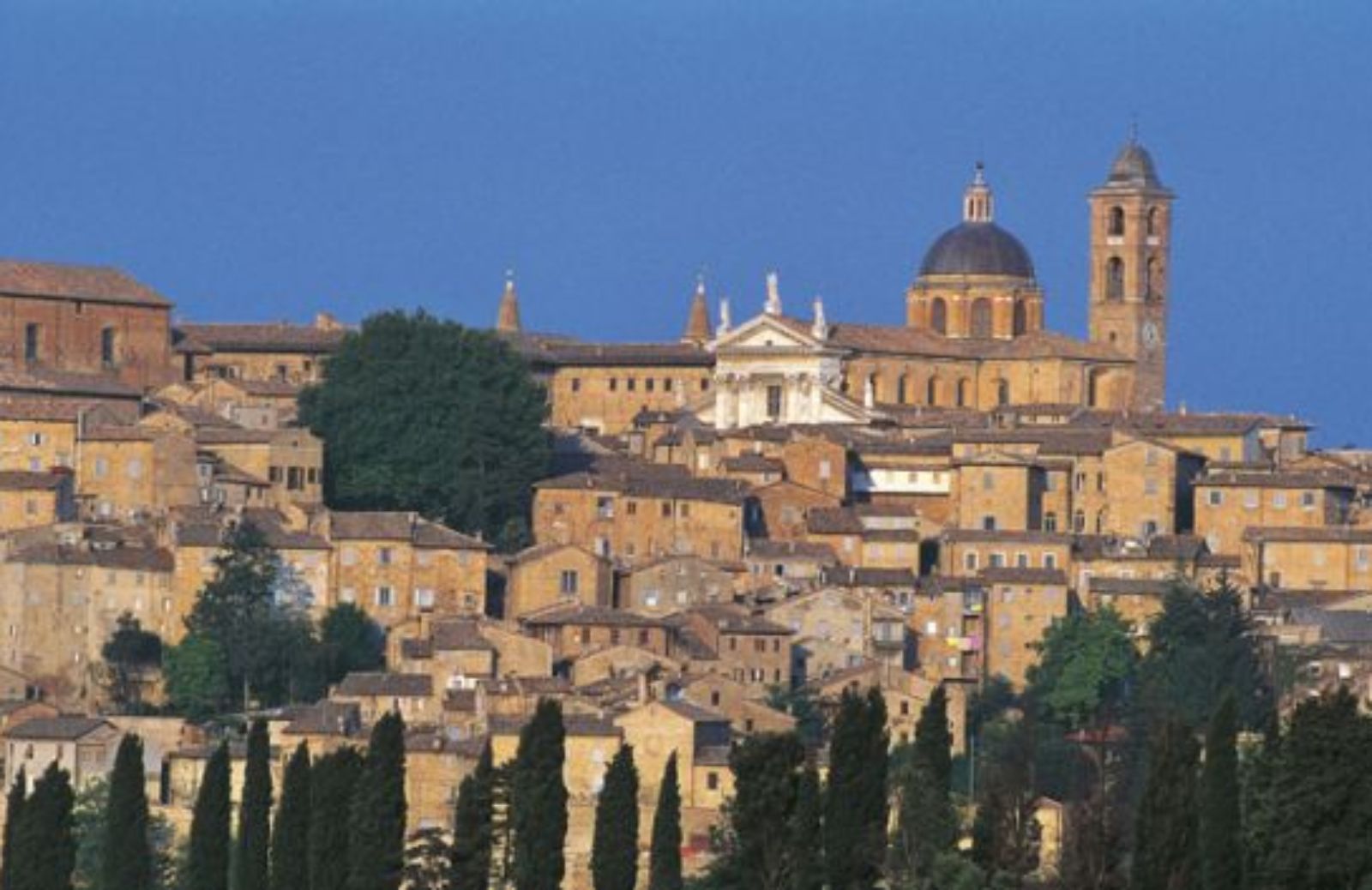 La città di Federico da Montefeltro