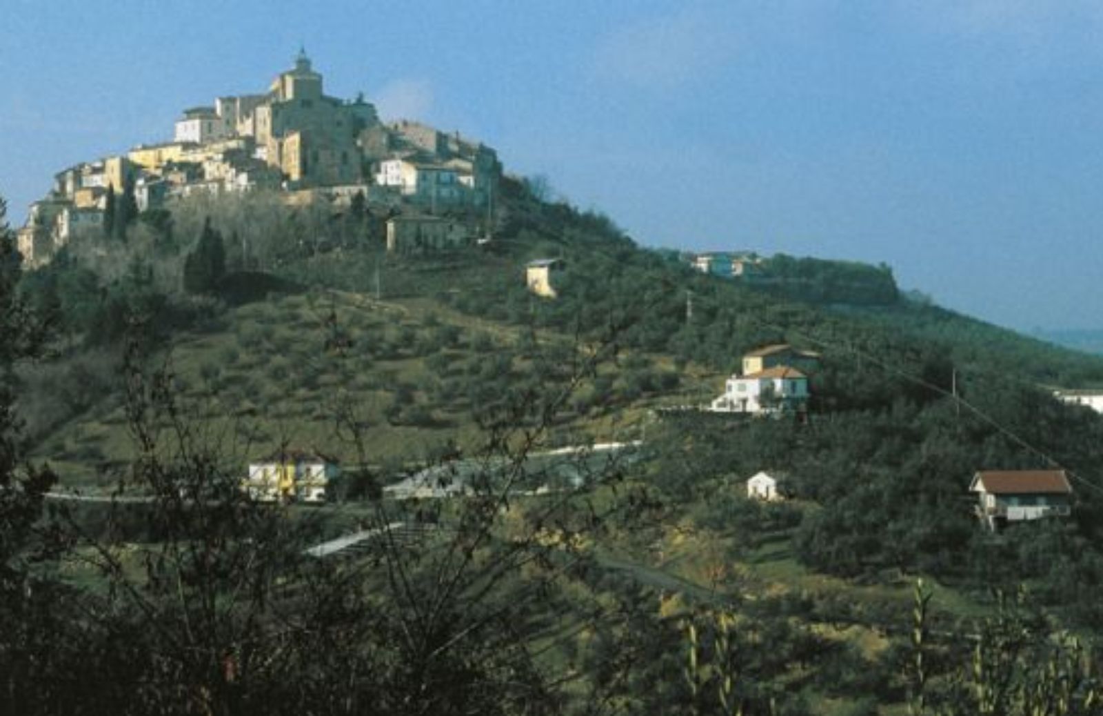 Un olio forte e gentile