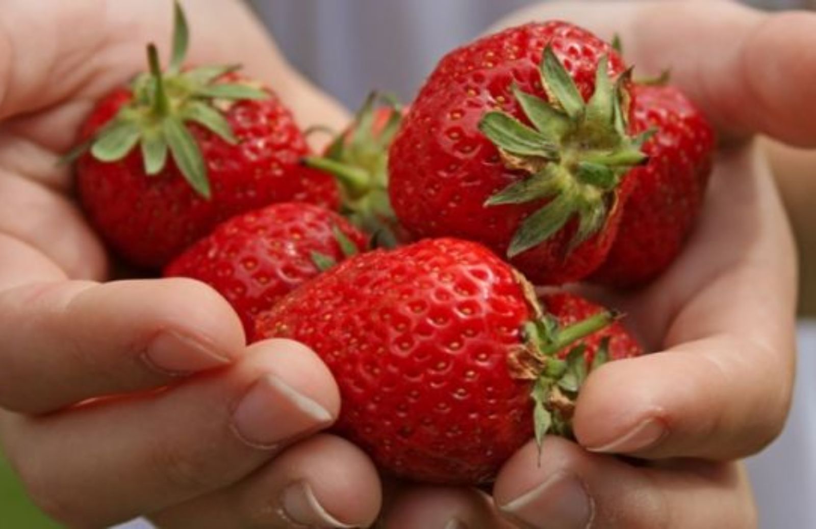 Come curarsi in primavera con la frutta di stagione