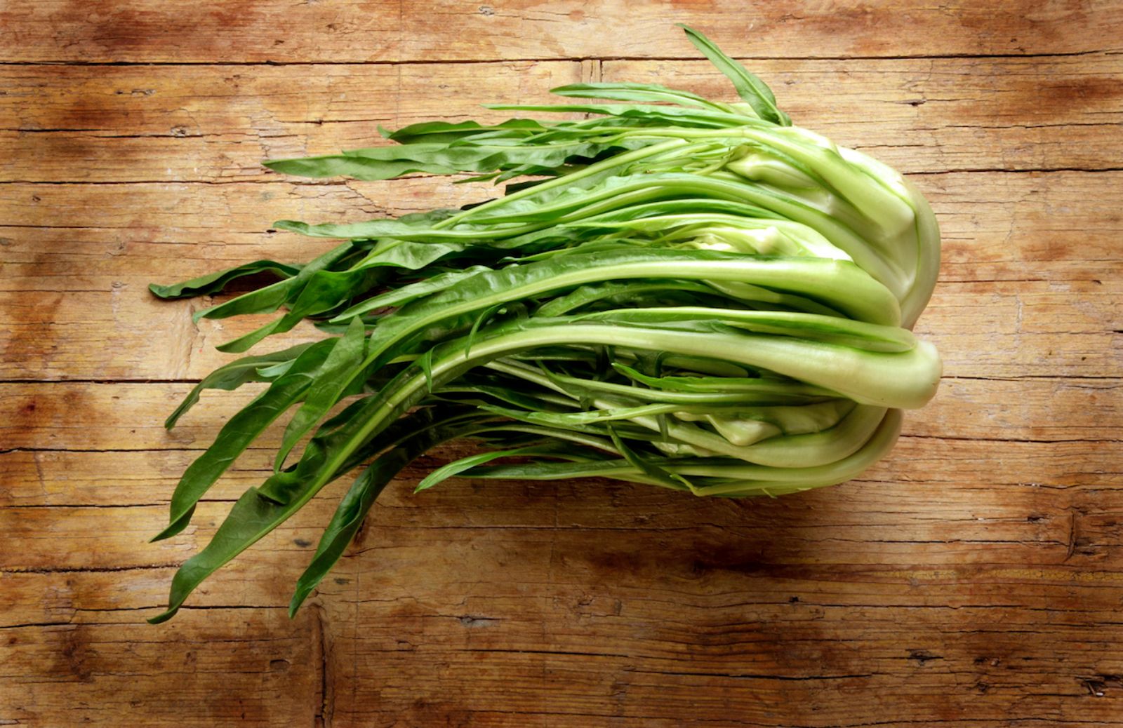 Puntarelle: valori nutrizionali, proprietà e benefici