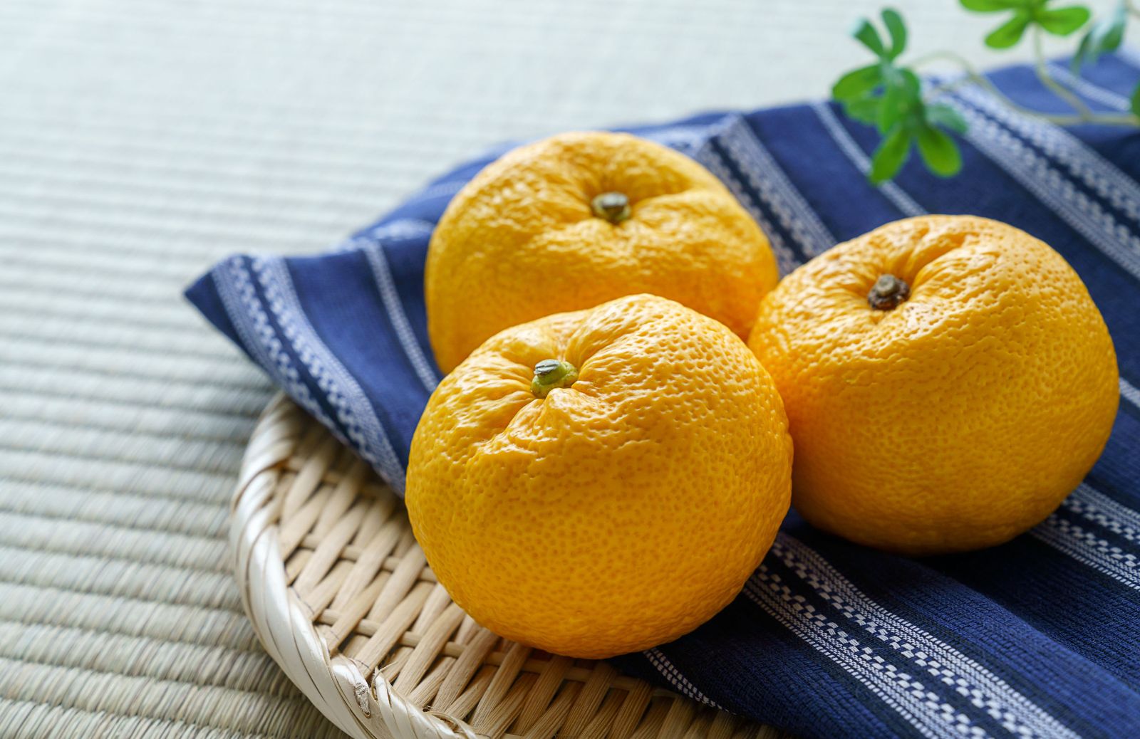 Yuzu, cos'è e come si usa: tutto sul superfood giapponese