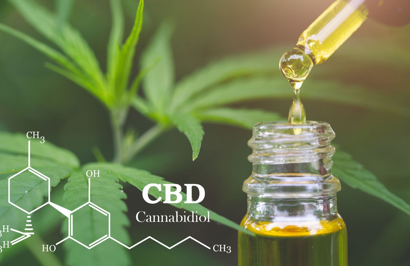 5 benefici del CBD che non ti aspetti