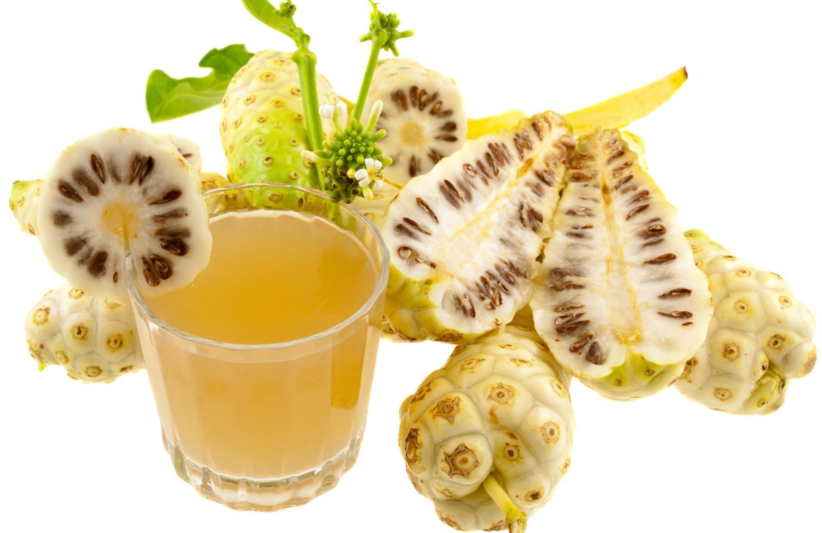 Come sfruttare i benefici per la salute del succo di Noni