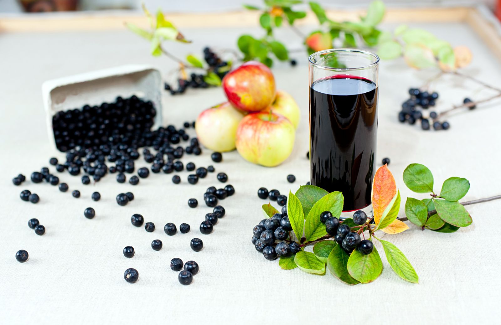 Le proprietà dell'aronia, la bacca superfood ricca di ferro e vitamina C