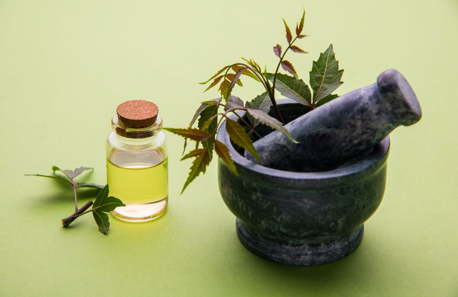 Olio di Neem, come usarlo contro la psoriasi