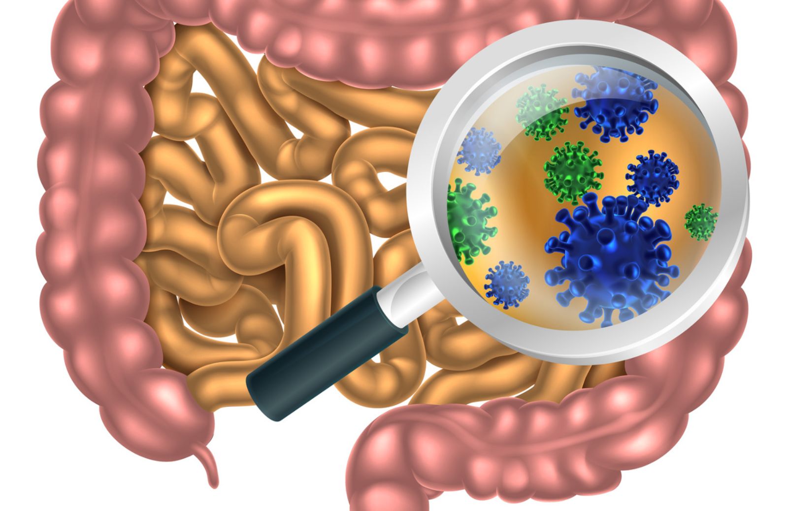 Cancro, con i probiotici terapie con meno effetti collaterali