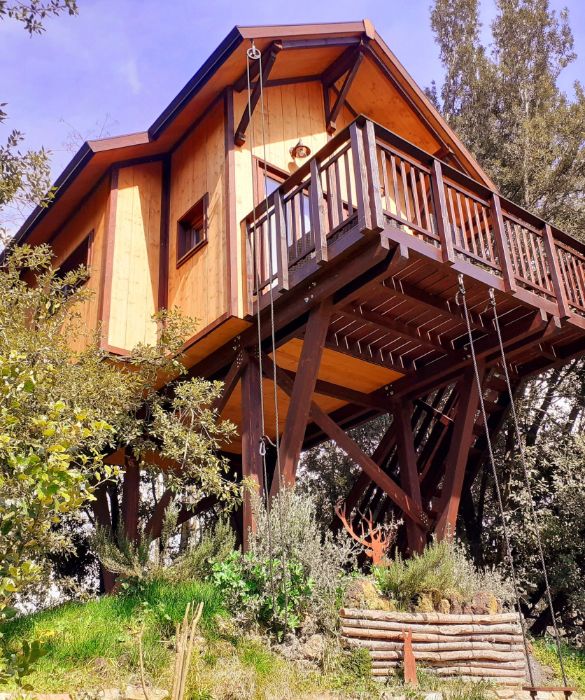 <p>Situata all'interno di un giardino di 8000 mq di una Casa Vacanze, l'Awen Tree House è una casetta di legno di 20mq rialzata da terra circa tre metri. La terrazza si affaccia a circa cinque metri sul laghetto che fa da richiamo di alcune specie di fauna e avifauna selvatica anche protetta. Costruita in legno FSC e secondo le tecniche della bioedilizia, ha l'isolante termoacustico in fibra di canapa: leggero, totalmente riciclabile e biodegradabile e soprattutto “carbon negative“. </p>
