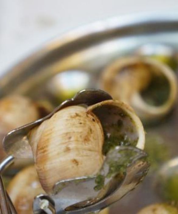 <p>Questi simpatici e viscidi animaletti non si mangiano solo in Francia, dove le escargot sono un piatto prelibato. Si gustano, infatti, anche in alcune regioni del nord Italia, oltre che nel Lazio e in Umbria. Sono molti i ristoranti, anche stellati, che le vedono nei propri menù. Tra le ricette più popolari ci sono quelle in umido.</p>
