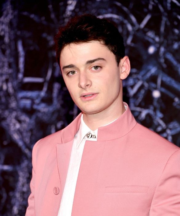 <p>Dopo Stranger Things, Noah Schnapp ha recitato in <em>Abe</em>, <em>Aspettando Anya</em> e <em>Hubie Halloween</em>. Ma è anche imprenditore: ha creato il brand "To Be Honest", con cui ha lanciato una crema di nocciole vegana e senza <a href=