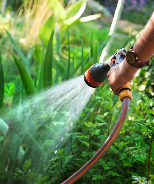 Tutte le piante hanno bisogno di acqua, alcune di più, altre meno.
Sia che si tratti di piante da appartamento che da giardino è necessario di tanto in tanto bagnarle. Se non avete tempo o siete poco costanti, affidatevi ad un impianto di irrigazione automatico.