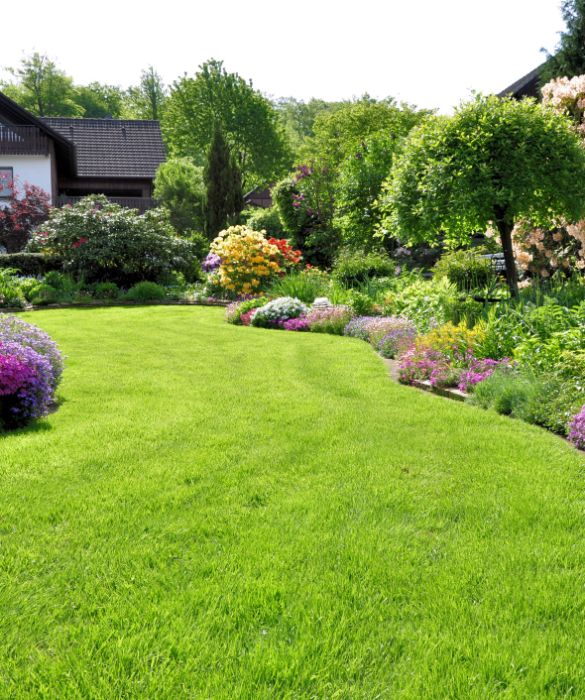 I giardini più belli sono quelli che hanno un prato verde morbido e simile al velluto. Si chiama prato inglese e si può comprare già pronto sottoforma di tappeto. Si decide l'area da ricoprire e si taglia a misura. Per curarlo basta annaffiarlo ogni giorno soprattutto quando fa molto caldo.