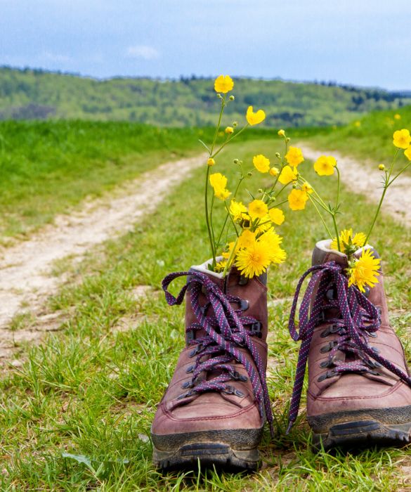 Ti piace camminare? Se la risposta è sì sei già sulla buona strada della salvaguardia dell'ambiente. E forse la montagna fa al caso tuo: fare trekking e scoprire sentieri e scorci mozzafiato può essere un'esperienza unica, in grado di far avvicinare ancora di più all'ecosostenibilità.