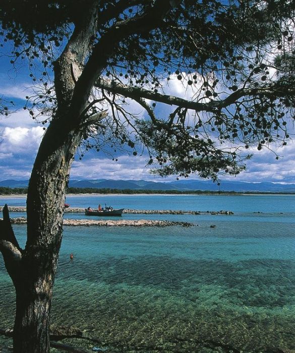 La Sardegna a novembre riesce ancora ad offrire temperature miti tanto da farvi passare ancora qualche giorno al mare: scegliete Porto Pino e le sue famose dune di spiaggia bianca per rilassarvi e godervi la natura.