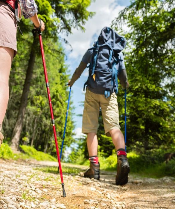 L'irrazionale paura di camminare è spesso il risultato di una lesione alle gambe, di un incidente o di una caduta il cui ricordo scatena un forte imbarazzo al punto da diventare un complesso per chi ne soffre. Altre volte può essere legata a un forte stato doloroso provocato dallo stare in piedi o camminare.